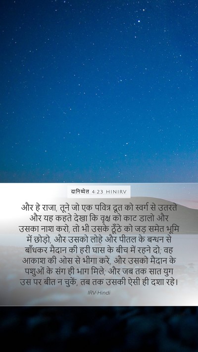 दानिय्येल 4:23 HINIRV Bible Verse Image