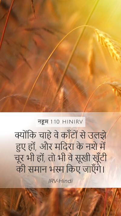 नहूम 1:10 HINIRV Bible Verse Image