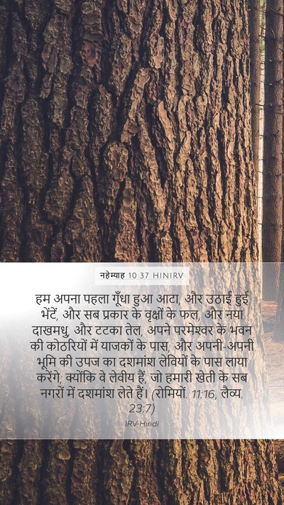 नहेम्याह 10:37 HINIRV Bible Verse Image