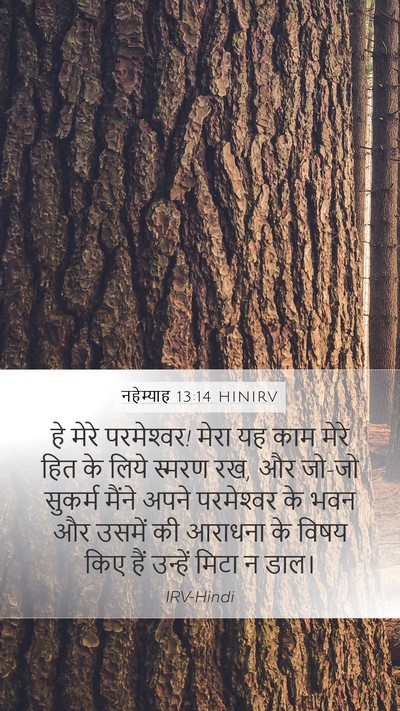 नहेम्याह 13:14 HINIRV Bible Verse Image