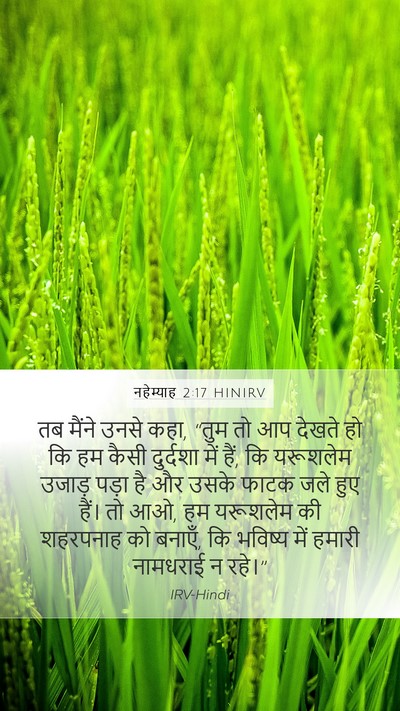 नहेम्याह 2:17 HINIRV Bible Verse Image