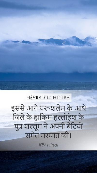 नहेम्याह 3:12 HINIRV Bible Verse Image