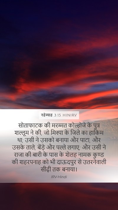 नहेम्याह 3:15 HINIRV Bible Verse Image