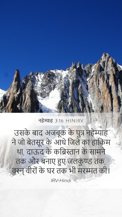नहेम्याह 3:16 HINIRV Bible Verse Image