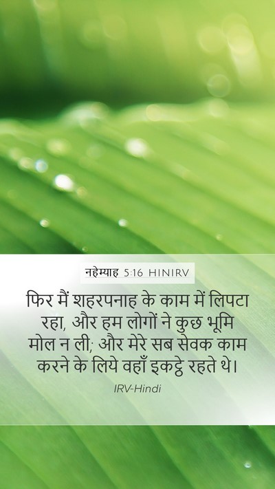 नहेम्याह 5:16 HINIRV Mobile Phone Wallpaper - फिर मैं शहरपनाह के - Mobile Bible Verse Wallpaper