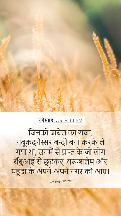 नहेम्याह 7:6 HINIRV Bible Verse Image