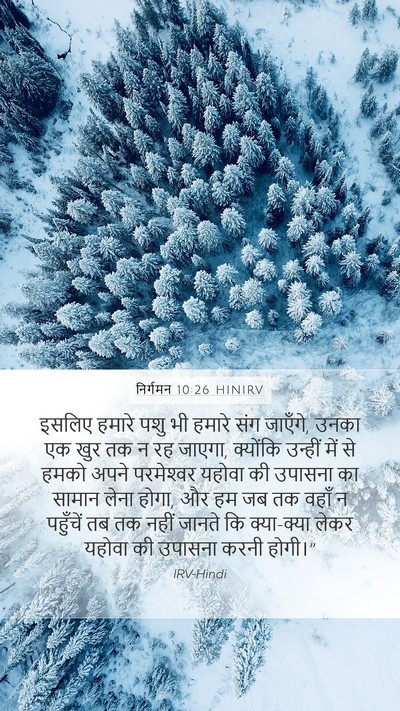 निर्गमन 10:26 HINIRV Bible Verse Image