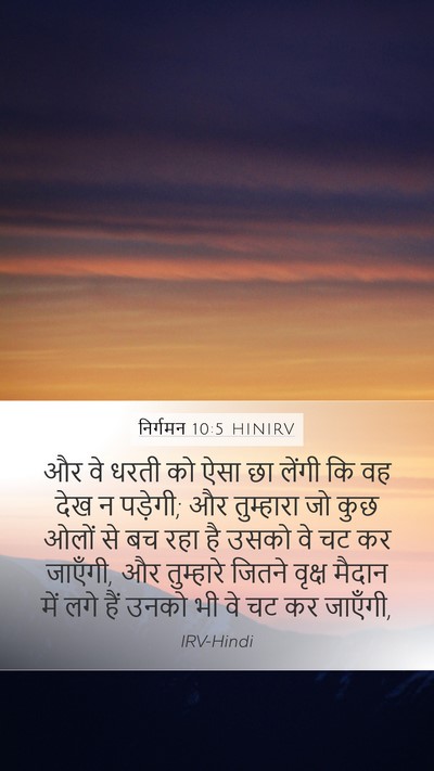 निर्गमन 10:5 HINIRV Bible Verse Image