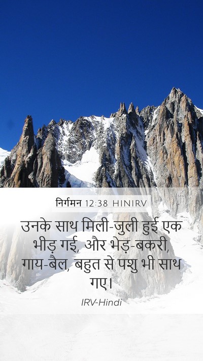 निर्गमन 12:38 HINIRV Bible Verse Image
