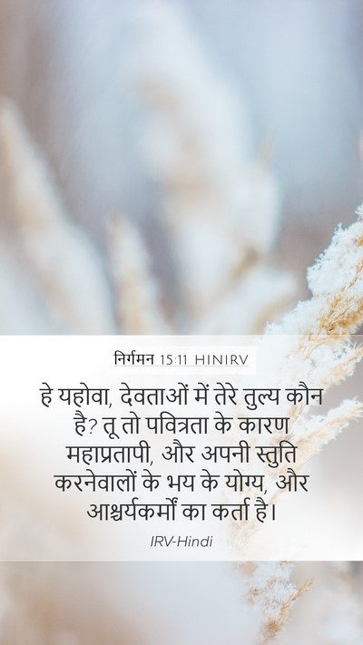 निर्गमन 15:11 HINIRV Bible Verse Image