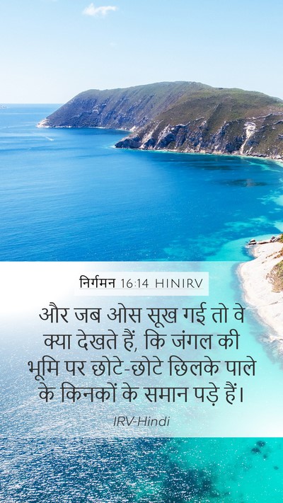 निर्गमन 16:14 HINIRV Bible Verse Image
