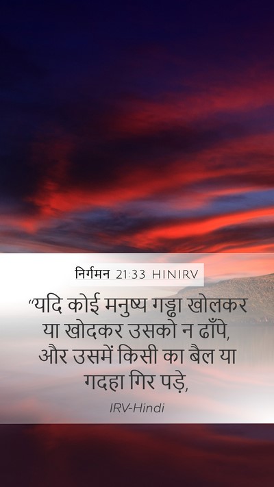 निर्गमन 21:33 HINIRV Bible Verse Image