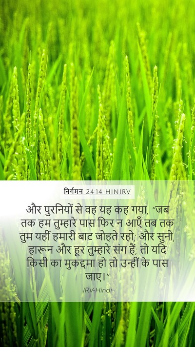 निर्गमन 24:14 HINIRV Bible Verse Image