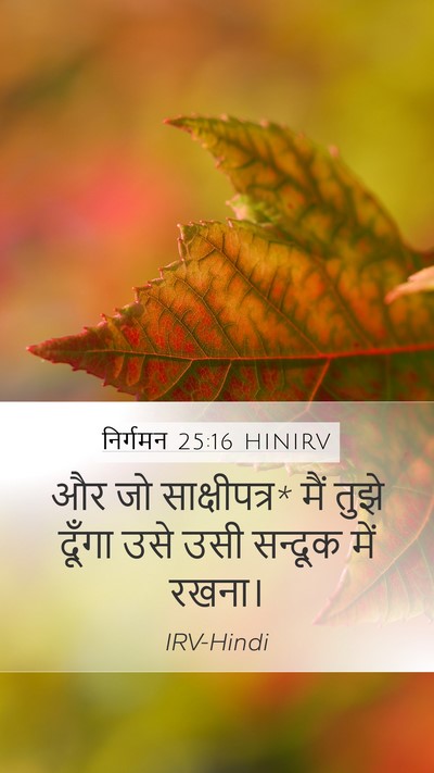 निर्गमन 25:16 HINIRV Bible Verse Image