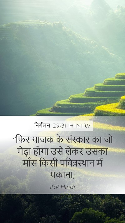 निर्गमन 29:31 HINIRV Mobile Phone Wallpaper - “फिर याजक के - Mobile Bible Verse Wallpaper