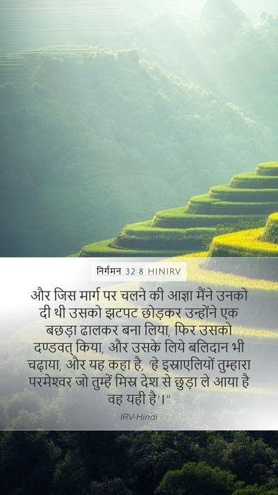 निर्गमन 32:8 HINIRV Bible Verse Image