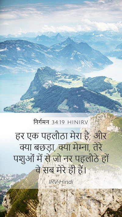 निर्गमन 34:19 HINIRV Bible Verse Image