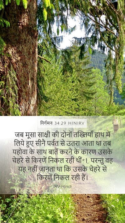 निर्गमन 34:29 HINIRV Bible Verse Image