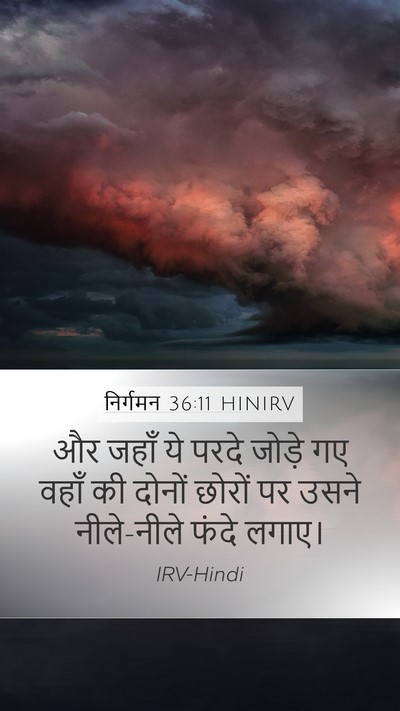 निर्गमन 36:11 HINIRV Mobile Phone Wallpaper - और जहाँ ये परदे - Mobile Bible Verse Wallpaper