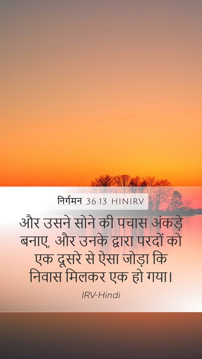 निर्गमन 36:13 HINIRV Bible Verse Image