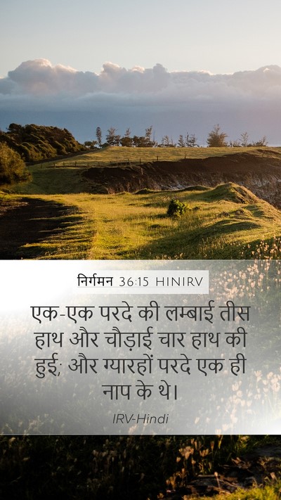 निर्गमन 36:15 HINIRV Mobile Phone Wallpaper - एक-एक परदे की - Mobile Bible Verse Wallpaper