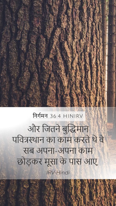 निर्गमन 36:4 HINIRV Mobile Phone Wallpaper - और जितने - Mobile Bible Verse Wallpaper