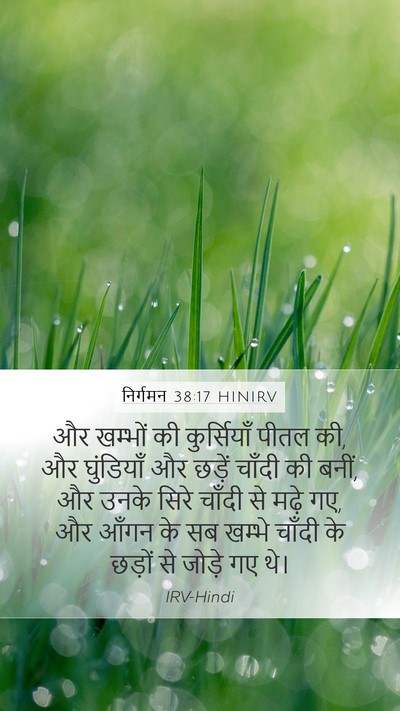 निर्गमन 38:17 HINIRV Bible Verse Image