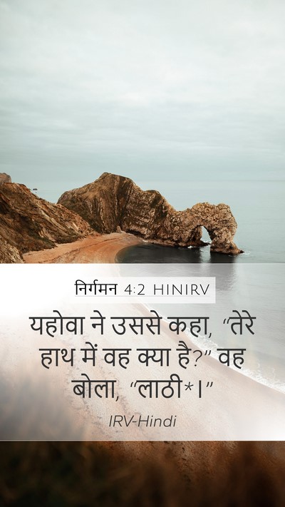 निर्गमन 4:2 HINIRV Bible Verse Image