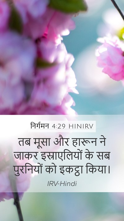 निर्गमन 4:29 HINIRV Bible Verse Image