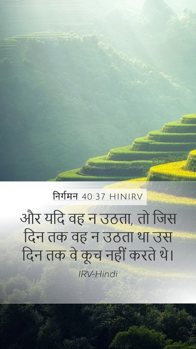 निर्गमन 40:37 HINIRV Mobile Phone Wallpaper - और यदि वह न उठता, तो - Mobile Bible Verse Wallpaper