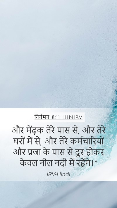 निर्गमन 8:11 HINIRV Mobile Phone Wallpaper - और मेंढ़क तेरे पास - Mobile Bible Verse Wallpaper
