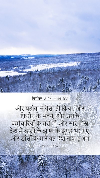 निर्गमन 8:24 HINIRV Bible Verse Image