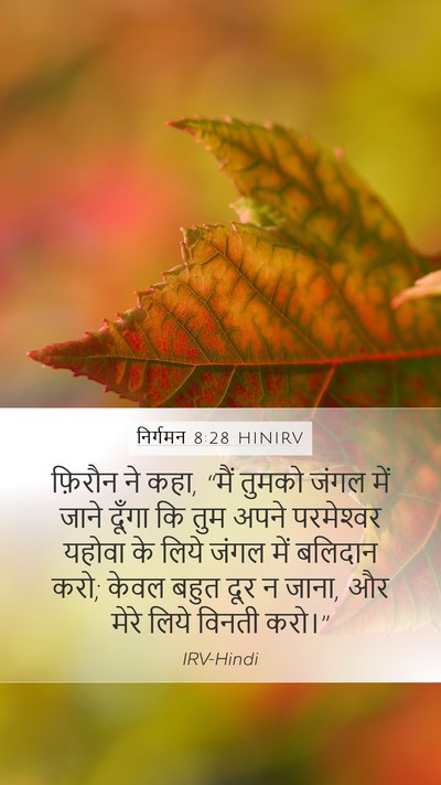 निर्गमन 8:28 HINIRV Bible Verse Image
