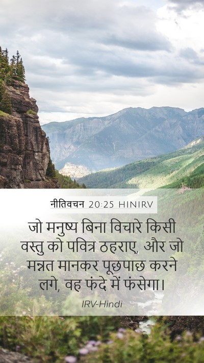 नीतिवचन 20:25 HINIRV Mobile Phone Wallpaper - जो मनुष्य बिना - Mobile Bible Verse Wallpaper