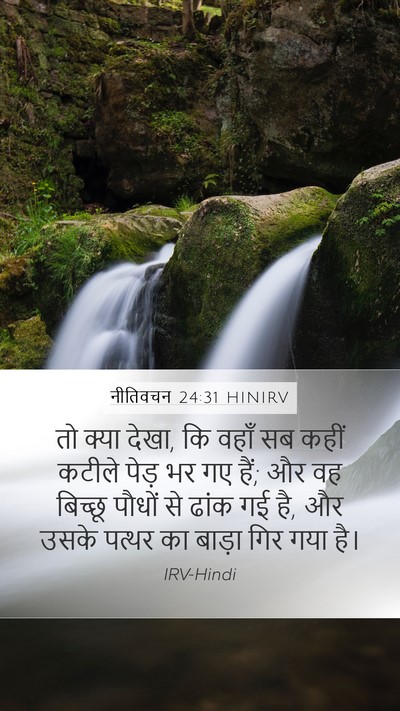 नीतिवचन 24:31 HINIRV Mobile Phone Wallpaper - तो क्या देखा, कि - Mobile Bible Verse Wallpaper