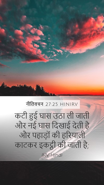 नीतिवचन 27:25 HINIRV Mobile Phone Wallpaper - कटी हुई घास उठा ली - Mobile Bible Verse Wallpaper