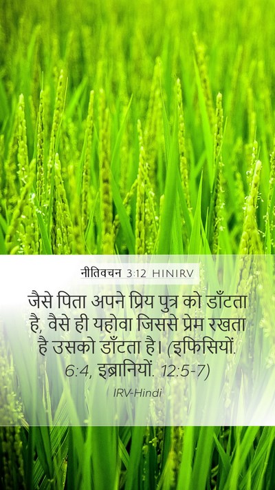 नीतिवचन 3:12 HINIRV Bible Verse Image
