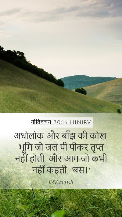 नीतिवचन 30:16 HINIRV Mobile Phone Wallpaper - अधोलोक और बाँझ की - Mobile Bible Verse Wallpaper