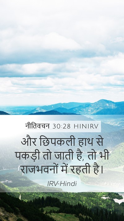 नीतिवचन 30:28 HINIRV Mobile Phone Wallpaper - और छिपकली हाथ से - Mobile Bible Verse Wallpaper