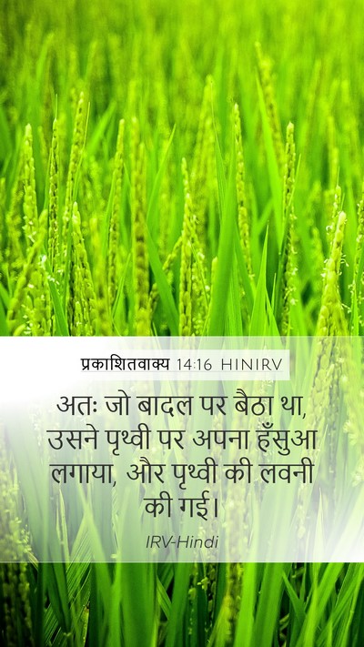 प्रकाशितवाक्य 14:16 HINIRV Mobile Phone Wallpaper - अतः जो बादल पर बैठा - Mobile Bible Verse Wallpaper