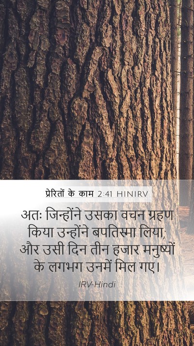 प्रेरितों के काम 2:41 HINIRV Bible Verse Image
