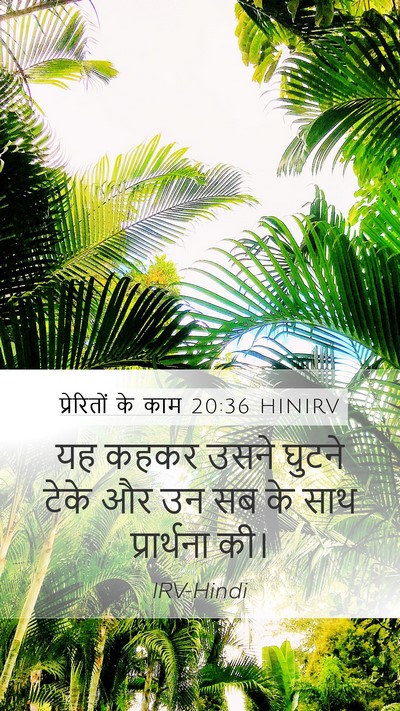 प्रेरितों के काम 20:36 HINIRV Bible Verse Image
