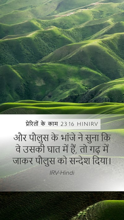प्रेरितों के काम 23:16 HINIRV Bible Verse Image