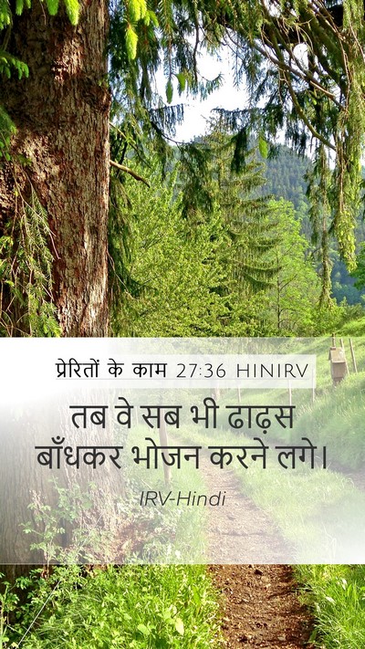 प्रेरितों के काम 27:36 HINIRV Mobile Phone Wallpaper - तब वे सब भी ढाढ़स - Mobile Bible Verse Wallpaper