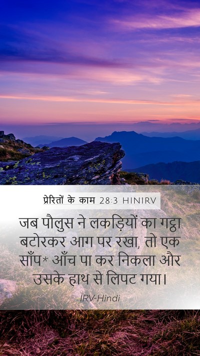 प्रेरितों के काम 28:3 HINIRV Bible Verse Image