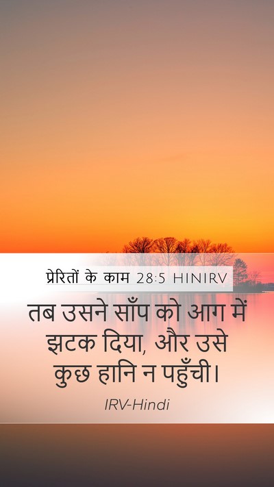 प्रेरितों के काम 28:5 HINIRV Bible Verse Image