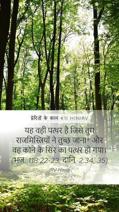 प्रेरितों के काम 4:11 HINIRV Bible Verse Image