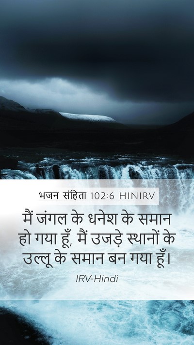 भजन संहिता 102:6 HINIRV Mobile Phone Wallpaper - मैं जंगल के धनेश के - Mobile Bible Verse Wallpaper