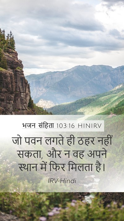 भजन संहिता 103:16 HINIRV Mobile Phone Wallpaper - जो पवन लगते ही ठहर - Mobile Bible Verse Wallpaper