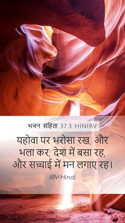 भजन संहिता 37:3 HINIRV Bible Verse Image